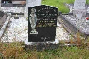 Slevin Michael Arm